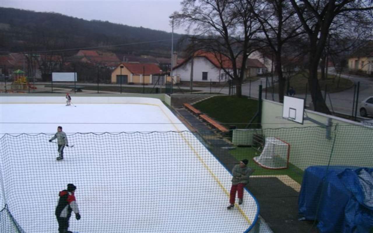 DAMBOŘICE DAMBOŘICE